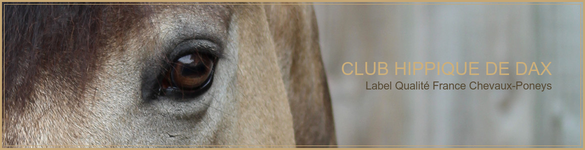 CLUB HIPPIQUE DE DAX